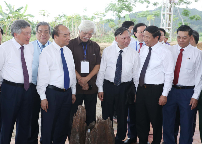 Hải Phòng: Khởi công Dự án khu bảo tồn bãi cọc Cao Quỳ ảnh 1