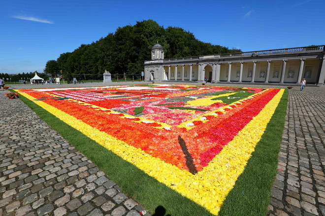 [Photo] Chiêm ngưỡng thảm hoa khổng lồ từ 300.000 bông hoa ảnh 3