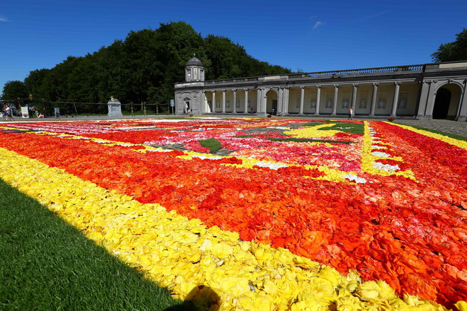 [Photo] Chiêm ngưỡng thảm hoa khổng lồ từ 300.000 bông hoa ảnh 4