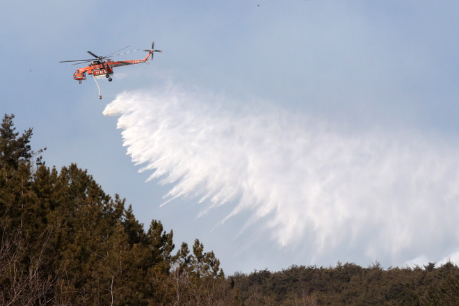 Australia cảnh báo nguy cơ mưa lũ, Hàn Quốc đối phó thảm họa cháy rừng ảnh 2