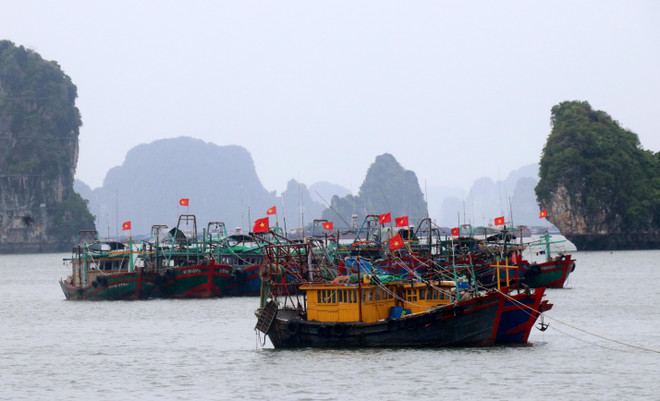Ứng phó bão số 1: Các địa phương đảm bảo an toàn về người, tàu thuyền ảnh 2