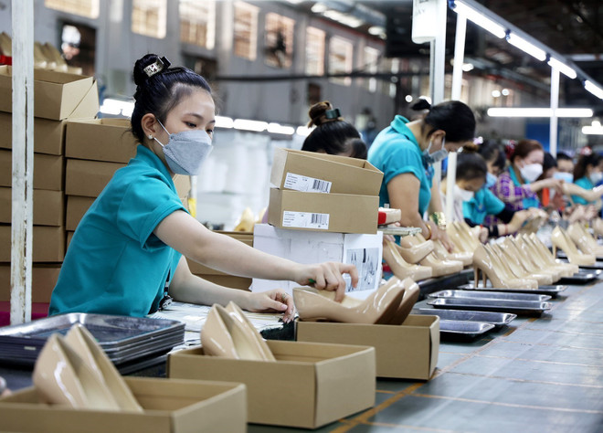 Doanh nghiệp Thành phố Hồ Chí Minh nỗ lực vượt khó ảnh 3