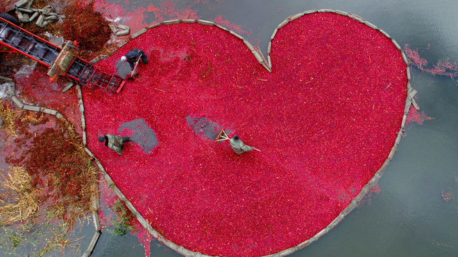 Cuộc thi ảnh quốc tế Andrei Stenin bắt đầu nhận các tác phẩm tham dự ảnh 2