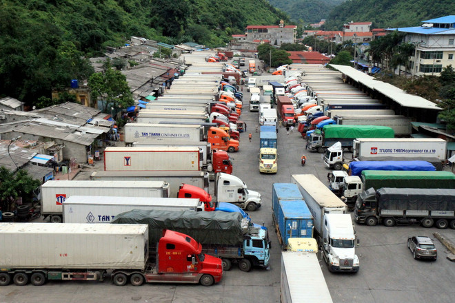 Tuyên án vụ buôn lậu hơn 500 xe ôtô hạng sang qua Trung Quốc ảnh 1