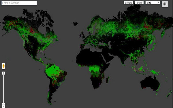 Thế giới mất hơn 1,5 triệu km2 rừng từ năm 2000-2012 ảnh 1