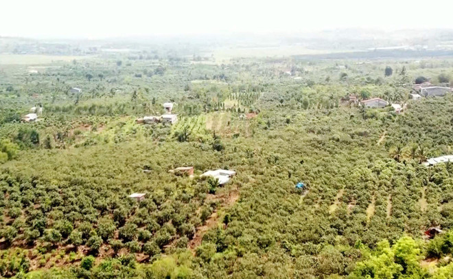 Phê duyệt dự án xây dựng hồ thủy lợi lớn nhất tỉnh Đắk Nông ảnh 1