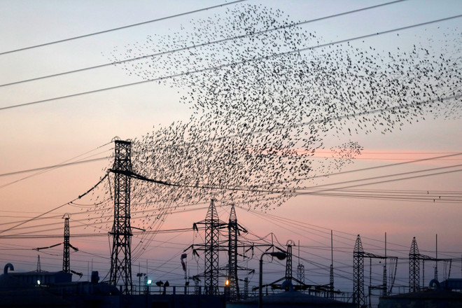 Hàng trăm nghìn hộ gia đình tại Israel bị cắt điện do nắng nóng ảnh 1