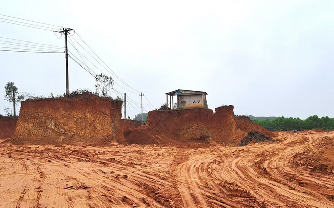 ttxvn_dao dat rung 2.jpg