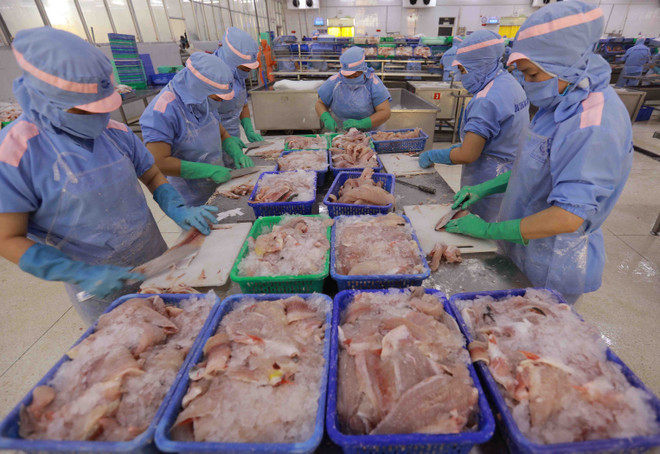 Thủy sản Việt Nam tận dụng từng cơ hội thị trường cuối năm ảnh 1