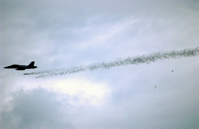 Mỹ rải 60.000 truyền đơn lên án tổ chức Hồi giáo IS ở Syria ảnh 1