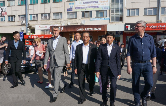 Người Việt trẻ tại Séc góp phần nâng cao nhận thức bảo vệ môi trường ảnh 1