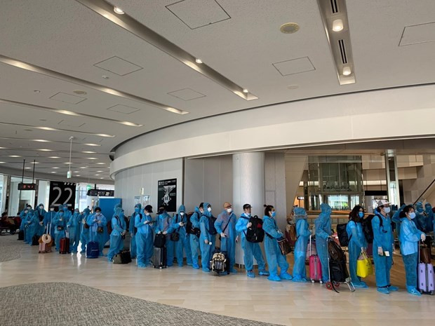 Tiếp tục đưa thêm 225 công dân Việt Nam từ Nhật Bản về nước ảnh 1