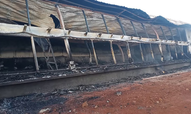 Hỏa hoạn thiêu rụi trang trại nuôi lợn, ước tính thiệt hại 90 tỷ đồng ảnh 1