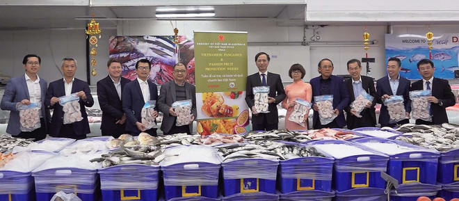 Triển lãm thúc đẩy xuất khẩu cá tra, cá basa Việt Nam tại Australia ảnh 1