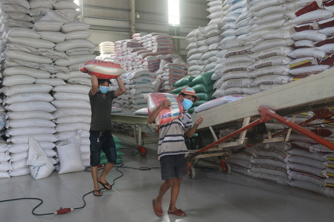 Nhu cầu thế giới tăng, cơ hội rộng mở với doanh nghiệp xuất khẩu gạo ảnh 2