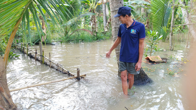 Cảnh báo vùng Đồng bằng sông Cửu Long ứng phó với triều cường ảnh 1