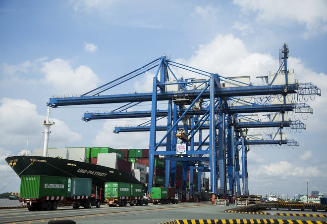 Cảng container chuyên dụng tại Cát Lái. (Ảnh: Hồng Đạt/TTXVN) Phát triển cảng biển TP Hồ Chí Minh ngang tầm khu vực và thế giới ảnh 1