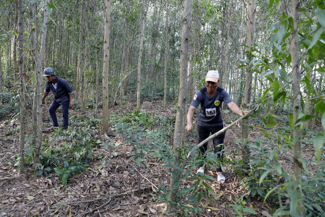 Phát triển diện tích, tăng chất lượng hiệu quả trồng rừng gỗ lớn ảnh 2