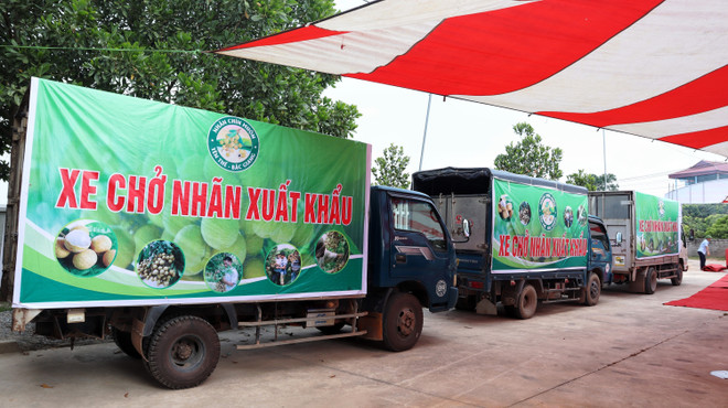 Nhiều điểm sáng về hợp tác thương mại Việt Nam và Australia ảnh 2