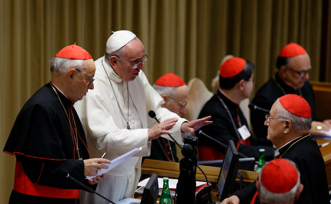 Tòa thánh Vatican tổ chức hội nghị về gia đình, đồng tính ảnh 1