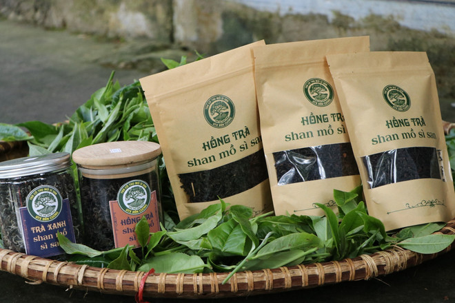 Lai Châu: Tạo dựng thương hiệu trà cổ thụ vùng biên Phong Thổ ảnh 2