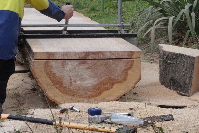 Trung Quốc ngừng nhập khẩu gỗ từ bang Victoria của Australia ảnh 1