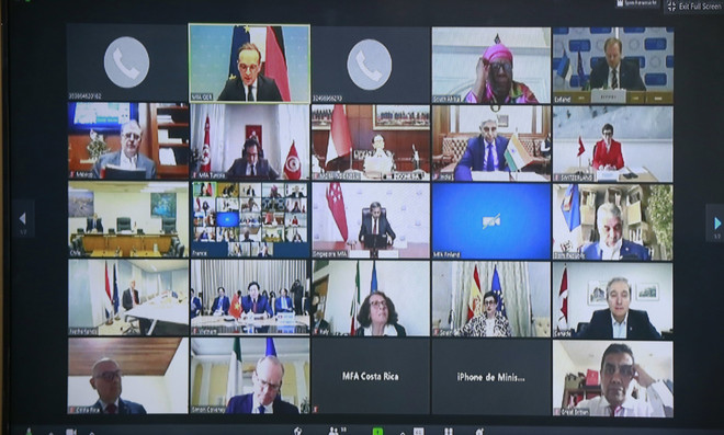 Việt Nam muốn chung tay với toàn cầu trong phòng chống COVID-19 ảnh 2