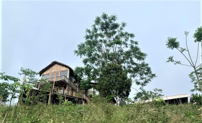 Bình Định: Kiểm tra farmstay bị du khách phản ánh tính tiền giá cao ảnh 1