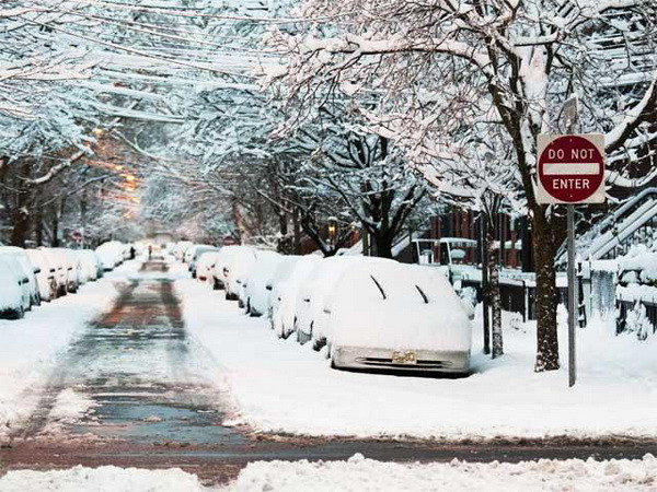 Mỹ: Bão tuyết hoành hành khiến 13 người thiệt mạng ảnh 1
