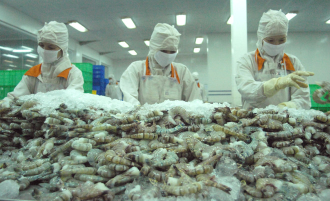 Cơ hội gia tăng xuất khẩu nông, thủy sản sang Liên bang Nga và EAEU ảnh 2