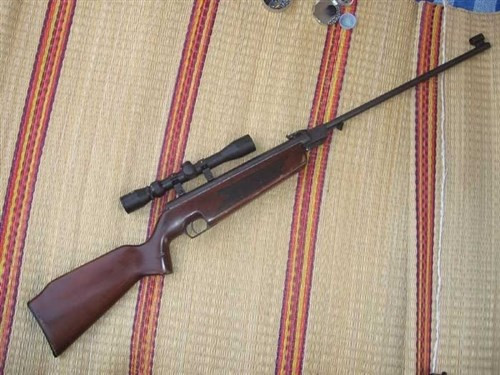 Mang súng hơi vào rừng săn, một người bị bắn chấn thương sọ não ảnh 1