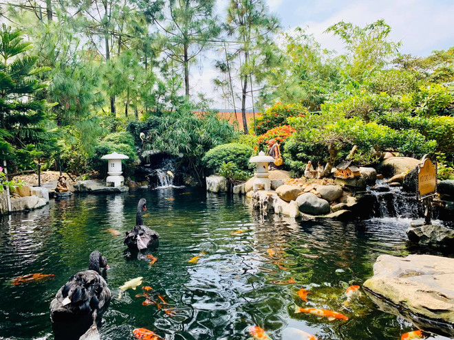 Xử phạt một doanh nghiệp 140 triệu đồng vì vi phạm về đất đai, đê điều ảnh 1