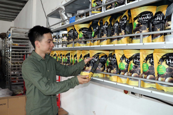 Sơn La: Phát triển kinh tế từ sản phẩm tỏi đen theo công nghệ Nhật Bản ảnh 1