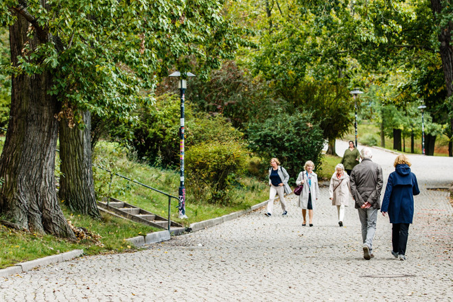 Đức sẵn sàng tiếp nhận bệnh nhân COVID-19 từ các nước thành viên EU ảnh 1