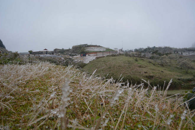 [Video] Tuyết rơi dày gây thiệt hại về hoa màu tại tỉnh Sơn La ảnh 1