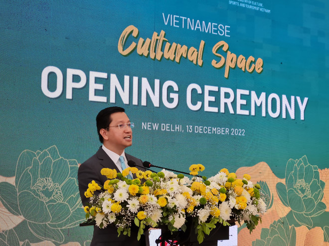 Việt Nam-Ấn Độ tăng cường đường bay thẳng, thúc đẩy hợp tác du lịch ảnh 1