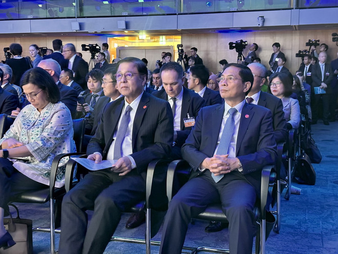 ttxvn_bui thanh son 3.jpg