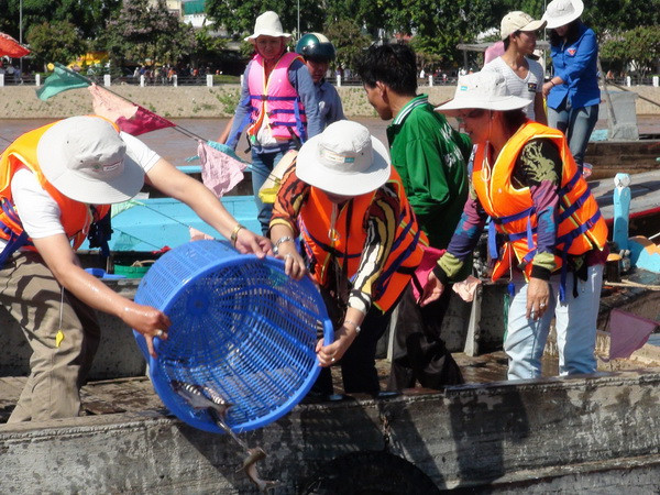 Trà Vinh: Thả gần 1,1 tấn cá giống ra môi trường tự nhiên ảnh 1