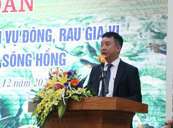 Thúc đẩy tiêu thụ nông sản vụ Đông khu vực Đồng bằng sông Hồng ảnh 2