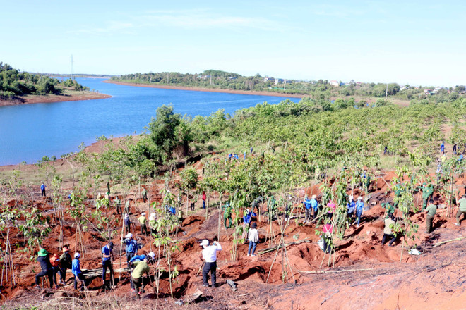 Kiên định con đường phát triển "xanh" vì tương lai bền vững ảnh 4