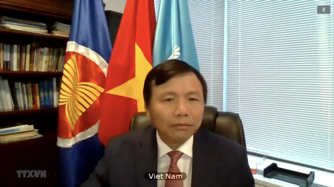 Việt Nam kêu gọi thúc đẩy đối thoại hòa bình, khôi phục ổn định ở Mali ảnh 2