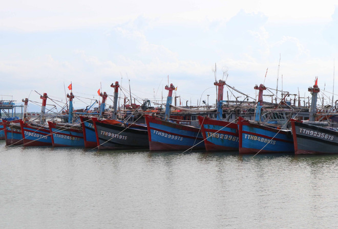 Bão số 5 tiếp tục di chuyển hướng Tây Tây Bắc, có khả năng mạnh thêm ảnh 1