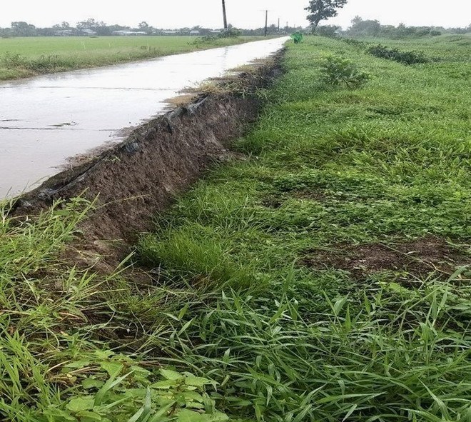 An Giang: Sạt lở bờ sông Hậu đe dọa tới an toàn một kho gạo ảnh 2