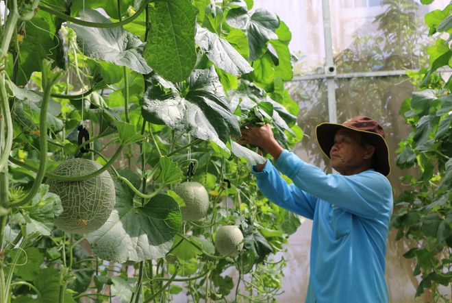 Bạc Liêu tăng tốc phát triển kinh tế những tháng cuối năm ảnh 1