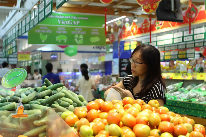 Thương mại phía Nam kết nối cung cầu, hợp tác phát triển ảnh 2