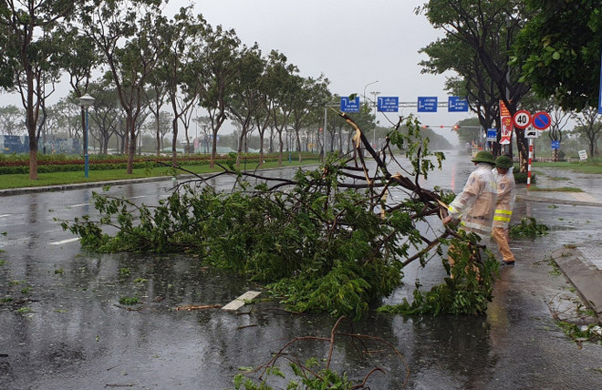 Cảnh sát giao thông Đà Nẵng dọn dẹp cây xanh gãy đổ trên các tuyến đường để đảm bảo giao thông. (Ảnh: TTXVN phát) Bão số 9: Sẵn sàng điều máy bay tìm kiếm 2 tàu cá gặp nạn trên biển ảnh 1