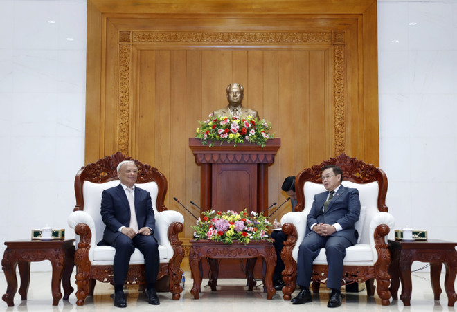 Lãnh đạo Lào đánh giá cao chuyến thăm của Ủy ban Hòa bình Việt Nam ảnh 1