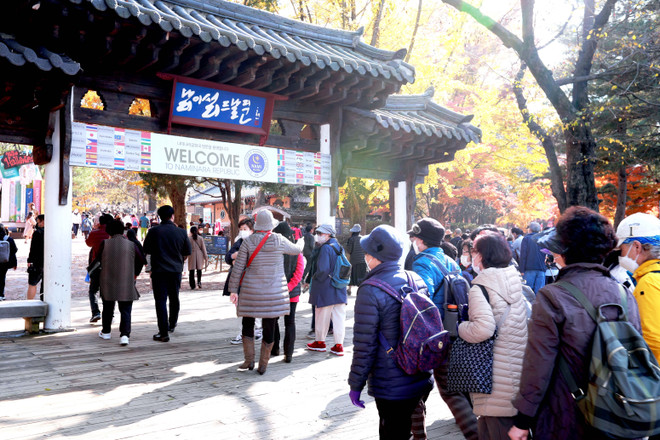 Các hãng du lịch châu Á tìm hướng đi mới sau đại dịch COVID-19 ảnh 2