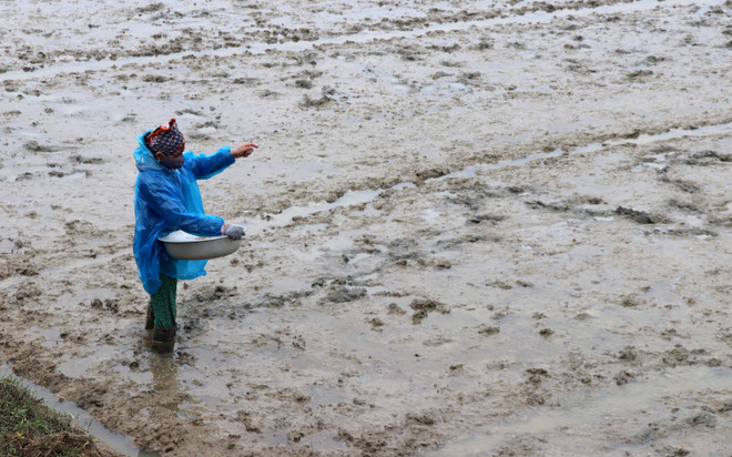 Tây Nguyên, Nam Trung Bộ cần tính đến nguồn nước tưới cho vụ Đông-Xuân ảnh 1