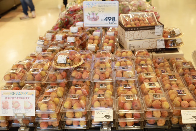 Tuần hàng Việt Nam: Kết nối doanh nghiệp với người tiêu dùng Nhật Bản ảnh 2